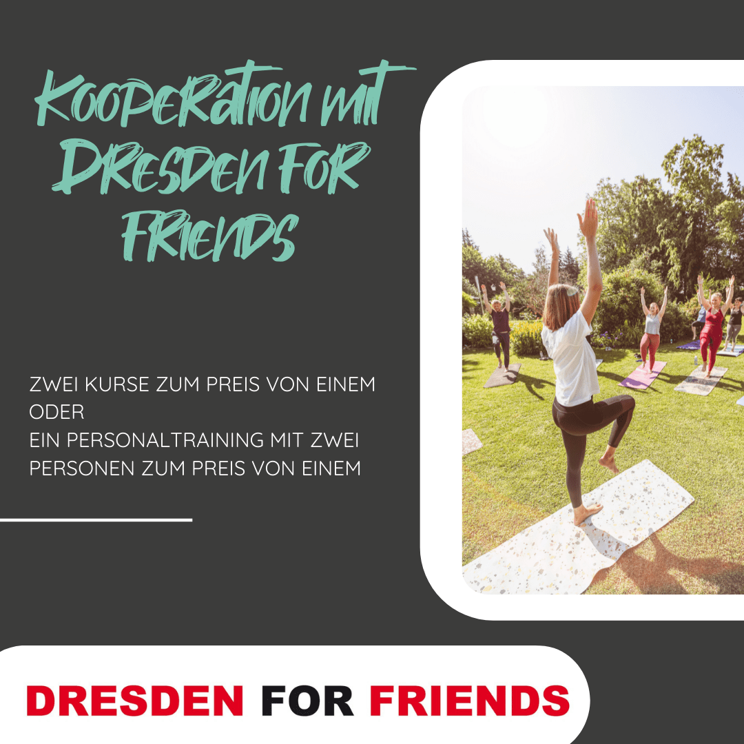 Kooperation mit Dresden for Friends